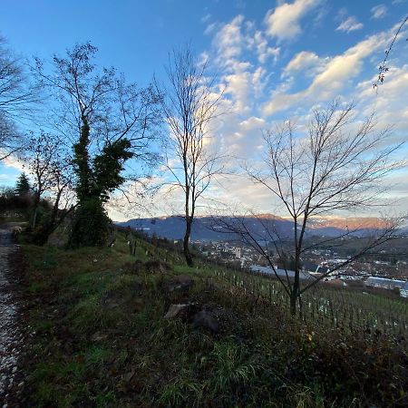 Apartament Casa Pigano Appiano Sulla Strada Del Vino Zewnętrze zdjęcie
