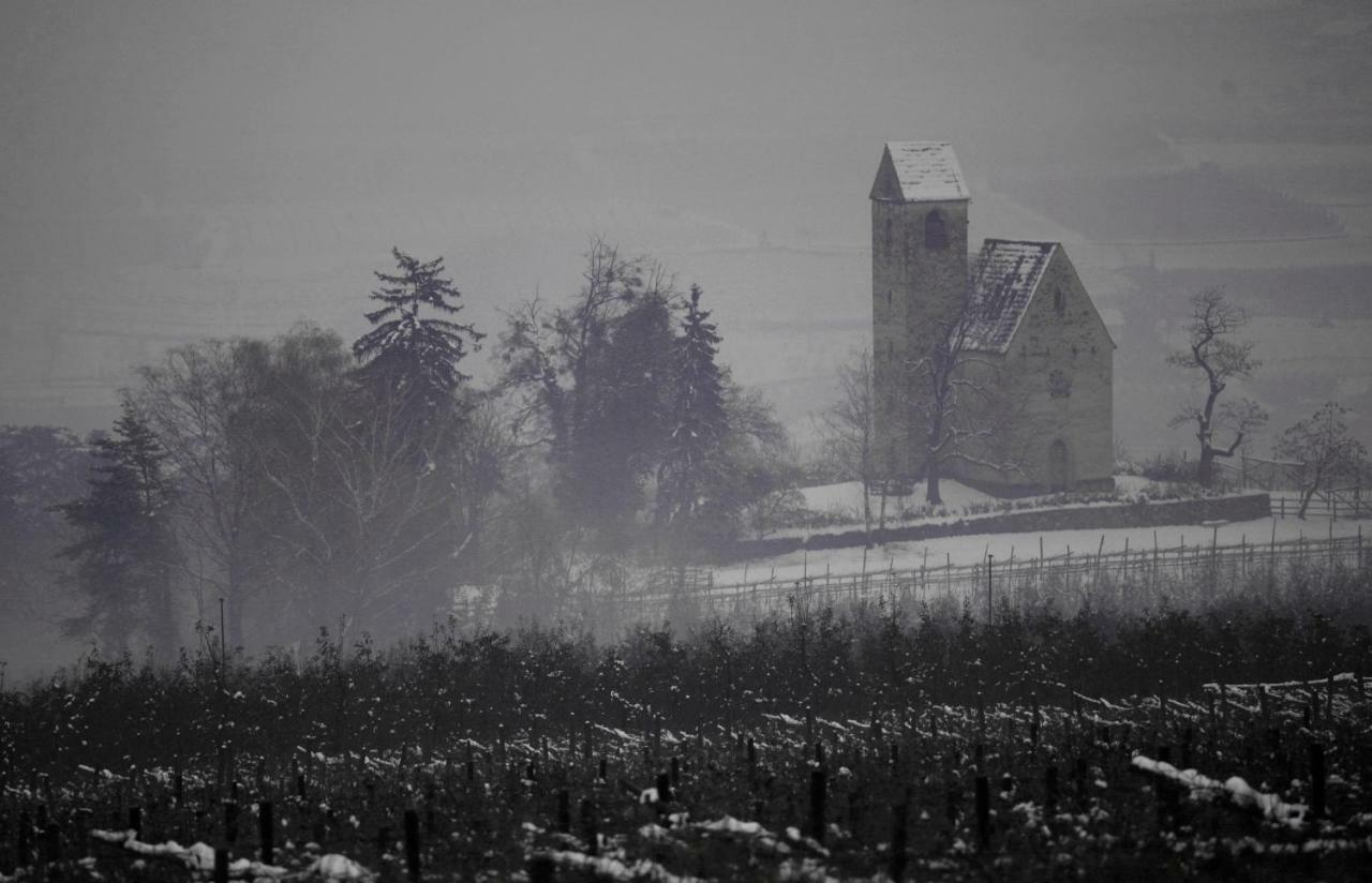 Apartament Casa Pigano Appiano Sulla Strada Del Vino Zewnętrze zdjęcie