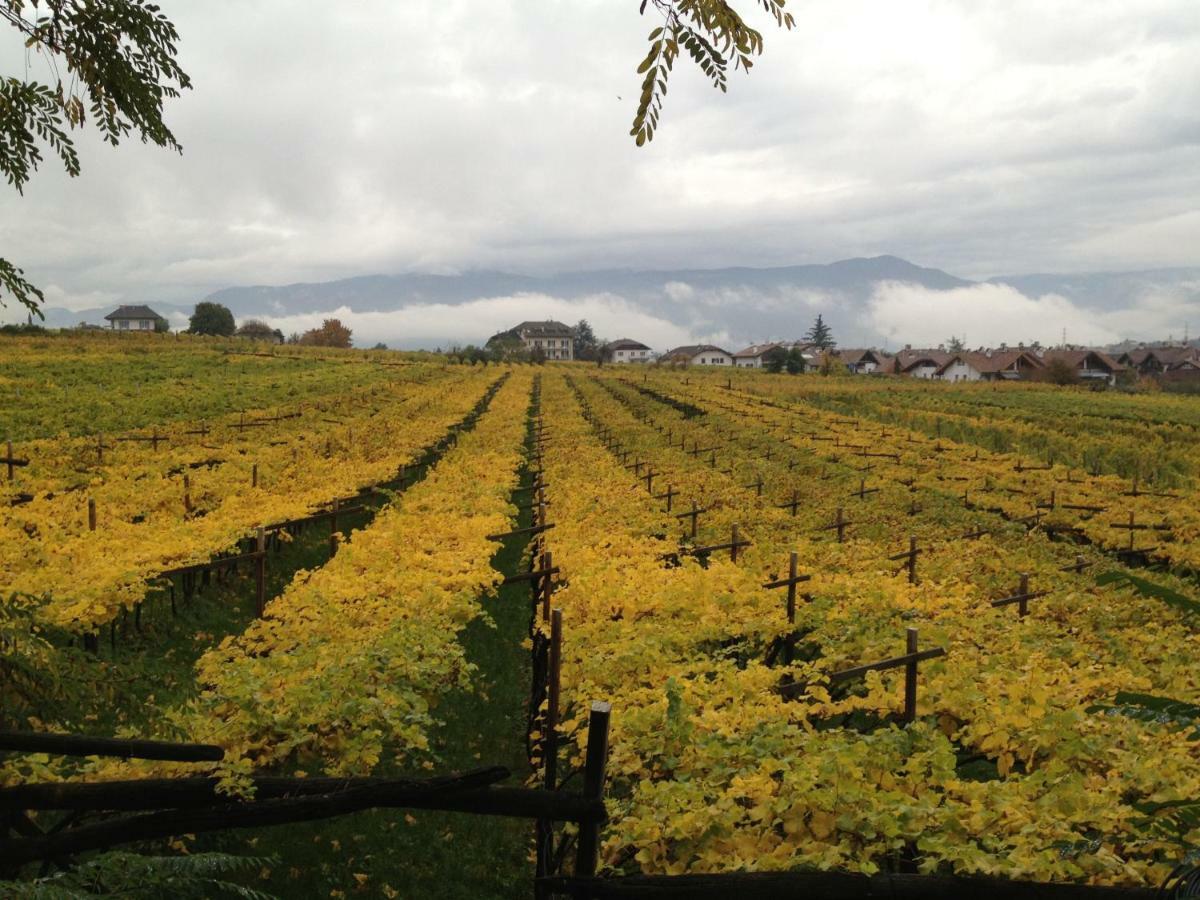 Apartament Casa Pigano Appiano Sulla Strada Del Vino Zewnętrze zdjęcie