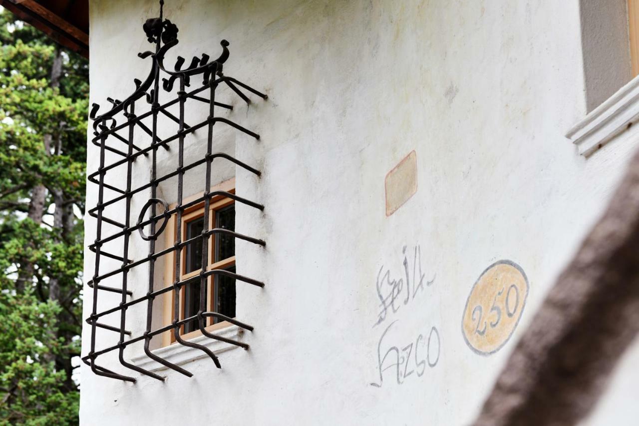 Apartament Casa Pigano Appiano Sulla Strada Del Vino Zewnętrze zdjęcie